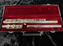 Very Nice! Eastman EFL210 Flute in Silver Plate #14690405